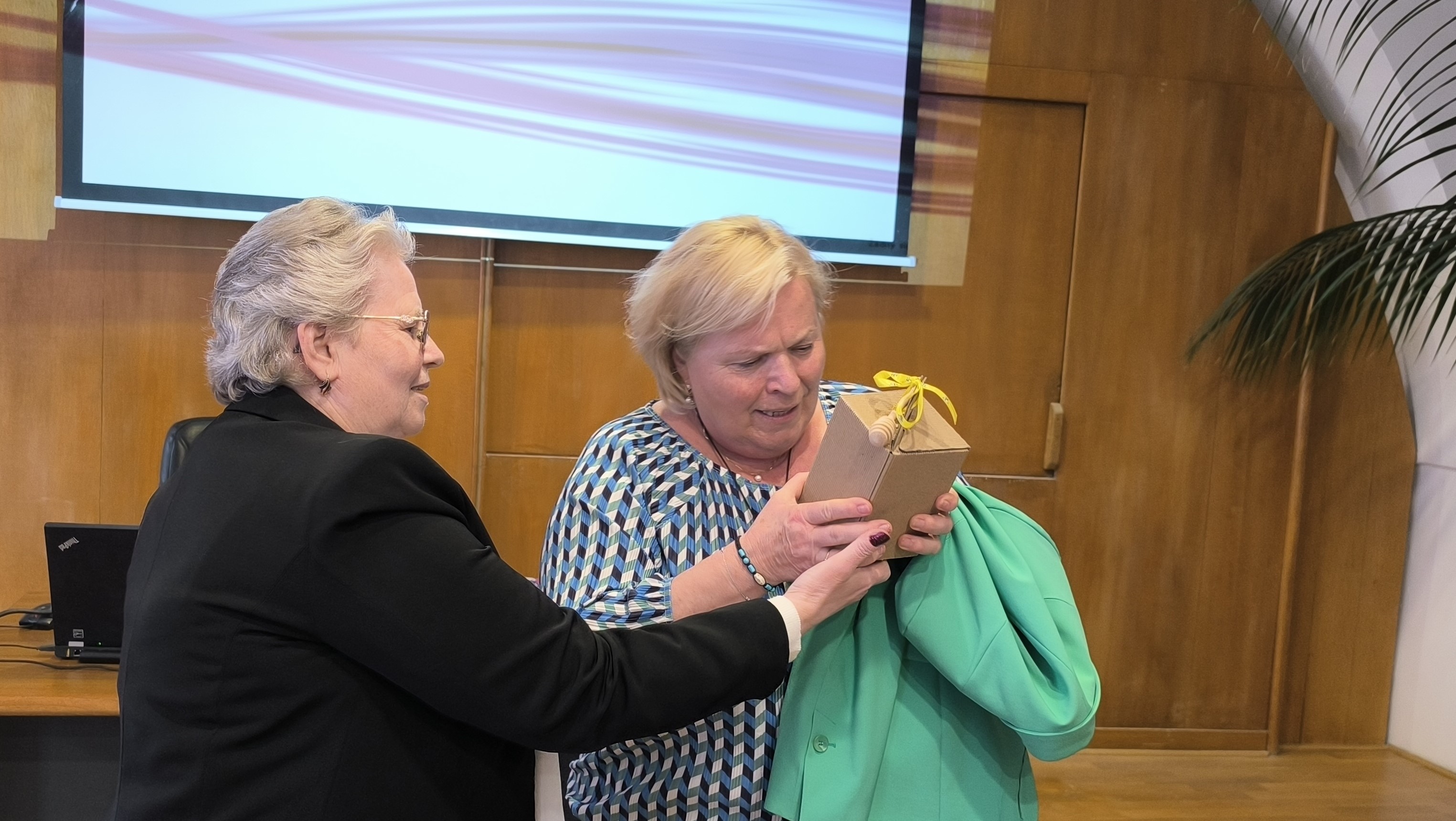 image-20250519202434-2