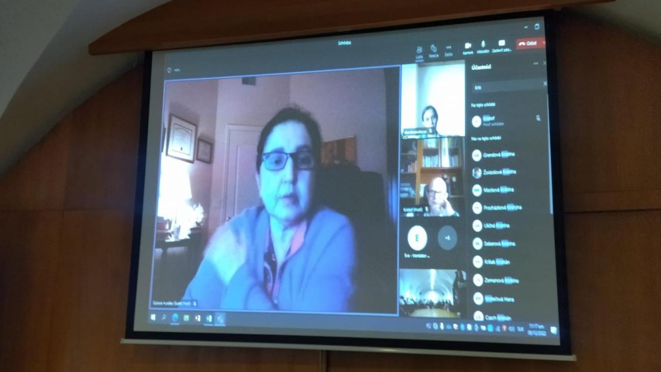 Online prednášajúca počas prezentácie o counselingu v USA